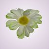 08S801 margarétka -cream green