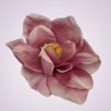 10223 amarylis -mauve