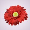 233668 gerbera - červená