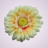 233668 gerbera - žlto rudy