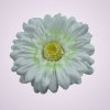 233668 gerbera - biela