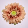 233668 gerbera - herbacia
