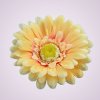 233668 gerbera - lososová