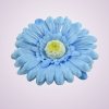 233668 gerbera - modrá