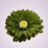 233668 gerbera - olivová C.