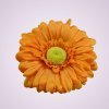 233668 gerbera - orange