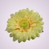 233668 gerbera - slnečná