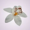 65792H orchidea- pure white
