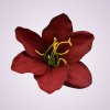 AR35075 ľalia - red
