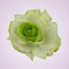 C019 ruža - cream-green CR134