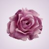 C019 ruža - mauve PE606
