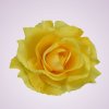 C019 ruža -yellow-G21