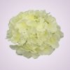 C10012 hortenzia - cream