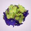 C10012 hortenzia-aut lavender