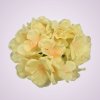 C10012 hortenzia-lt peach