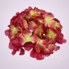 C10012 hortenzia-red