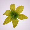 CE1380 ľalia - lt yellow