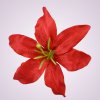 CE1380 ľalia - red