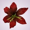 CE1380 ľalia - red/black