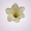 F001 ľalia- cream aut