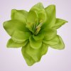 F19225 amarylis-green