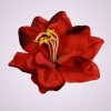 F19225 amarylis-red black