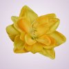 F19225 amarylis - yellow