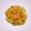 F2310 pivónia - yellow aut