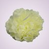 F2310 pivónia - cream