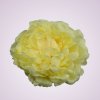 F2310 pivónia - lt yellow