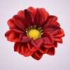 F2313 dália - red