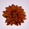 F2395 dália -orange br