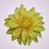 F2395 dália - yellow