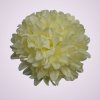 FU19100 chryzantéma -cream