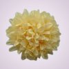 FU19100 chryzantéma - lt yellow