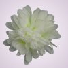 FU19103 chryzantéma-white /green