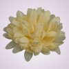 FU19103 chryzantéma-dk cream