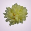 FU19103 chryzantéma-yellow