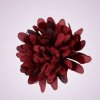 FU19103 chryzantéma-dk red