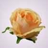 FXT023 ruža - peach