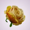 FXT023 ruža - yellow aut tch