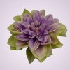 FYS070 dália- purple green