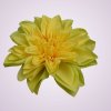 FYS070 dália- yellow green