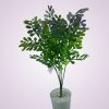 H22364P kytica pvc - zelono/fialová