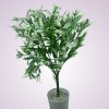 HS22362P- zeleno biela