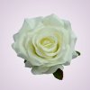 LY2401S ruža - cream