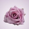 LY2401S ruža - dk pink