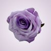 LY2401S ruža - lt lilac