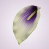 LY9901kala- lilac