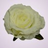 LY9905 ruža- cream